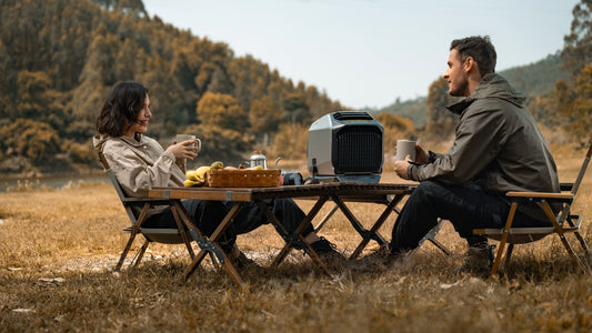 EcoFlow Wave 2 vs Zero Breeze Mark 2: Battle of Portable Air Conditioners!