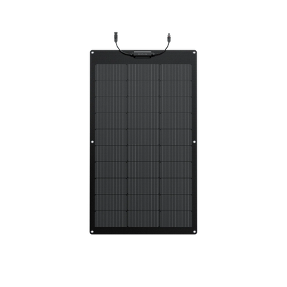 EcoFlow 100W Flexible Solar Panel
