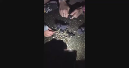 Fire Starter - SurvivalSPARK Emergency Magnesium Fire Starter - Survival Fire Starter with Compass and Whistle